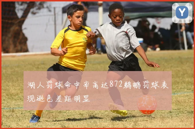 湖人罚球命中率高达872鹈鹕罚球表现逊色差距明显