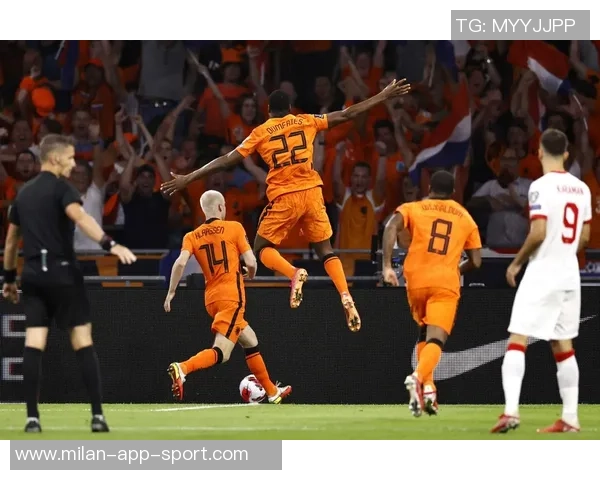 居莱尔展望未来努力助力土耳其重返世界杯舞台 居莱尔展望未来努力助力土耳其重返世界杯舞台